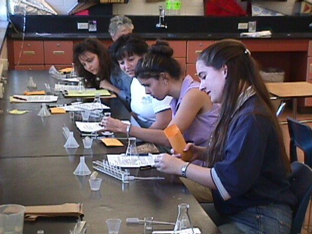 Brevard teachers (foreground) conducting lab activity