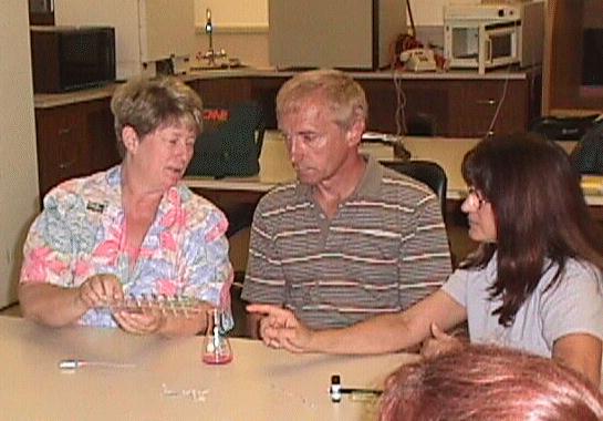 Teachers discuss their progress during the lab activity