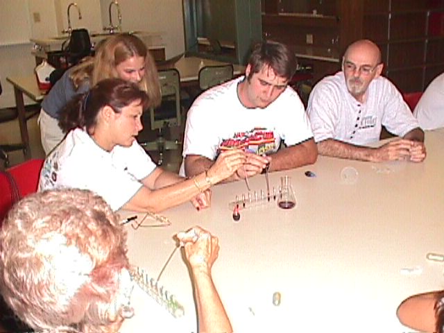 Kim observes as teachers pipet the solution into the culture test tubes