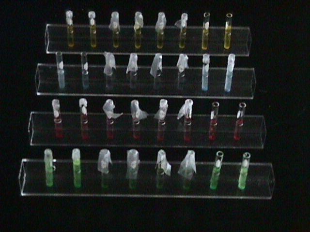 Some very nice colored protein crystals were produced!